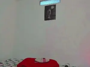 Cam4 Free Porn Cam of CleoAndDusky