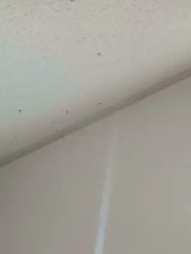 Cam4 Private Sex Chat of jairo77044