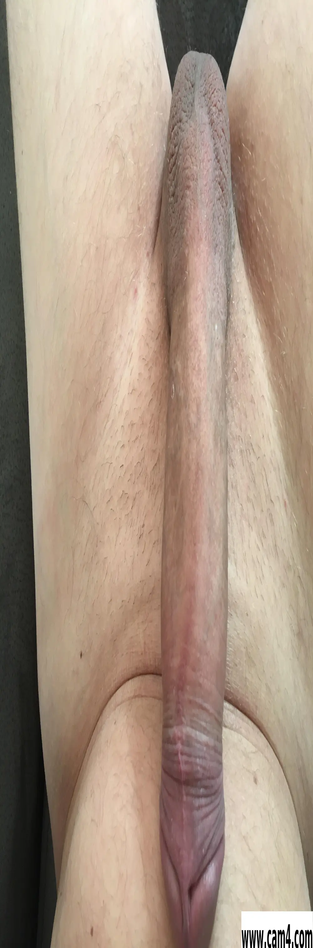 ronnyhot1