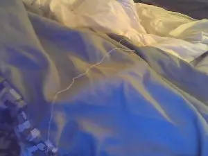 Cam4 Adult Webcam of Seven3333