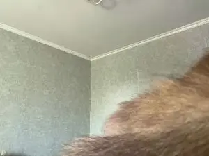 Cam4 Free Porn Cam of RaisaFlam