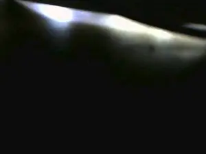 Cam4 Free Live Porn of christianmarqz