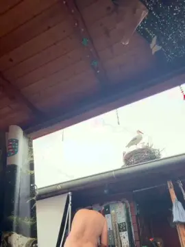 Cam4 Sex Cam of Queersali66