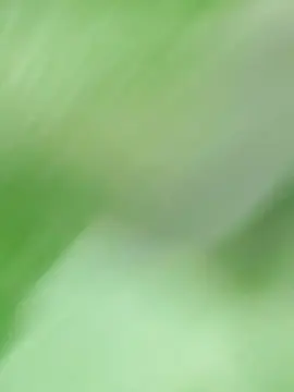 Cam4 Free Live Porn of Vitorvp