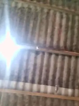 Cam4 Sex Cam of Binhoboss