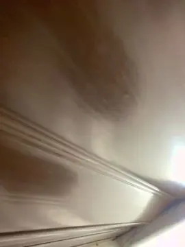 Cam4 Free Porn Cam of leon2391