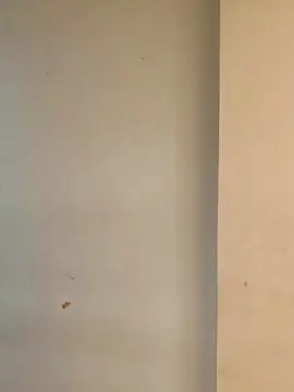 Cam4 Live Porn of xxMorenosexx