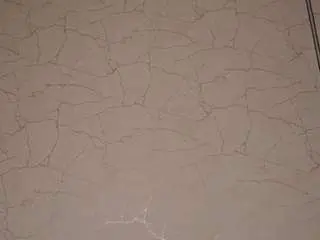 Camsoda Private Sex Chat of altessavosss