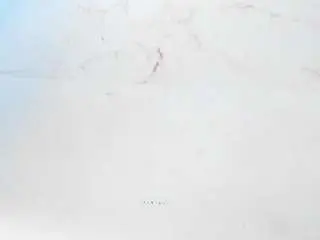 Camsoda Free Live Porn of sofiaa-cardenas