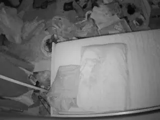 Camsoda Adult Webcam of voyeurcam-julmodels-whitebed-5