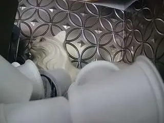 Camsoda Live Porn of voyeurcam-bridgetleewalters-02