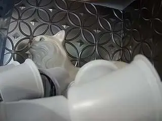 Camsoda Live Sex Cam of voyeurcam-bridgetleewalters-02