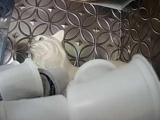 Camsoda Adult Video Chat of voyeurcam-bridgetleewalters-02