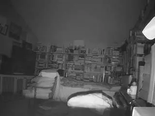 Camsoda Adult Video Chat of voyeurcam-bridgetleewalters-02