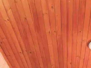 Camsoda Sex Cam of novahduel