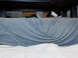 Camsoda Adult Webcams of tayteelswick