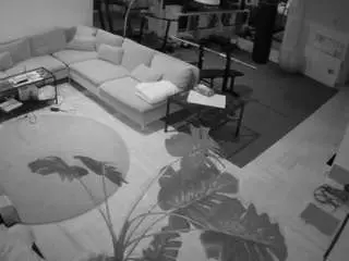 Camsoda Adult Webcams of voyeurcam-julmodels-living-2