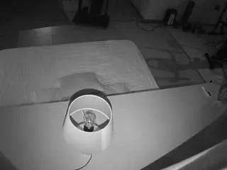 Camsoda Best Webcam of voyeurcam-jb-office-2