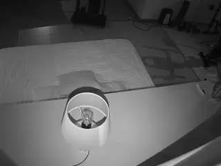 Camsoda Adult Webcam of voyeurcam-jb-office-2