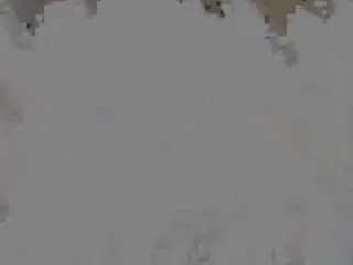 Camsoda Free Live Porn of anyashysmile