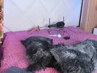 Camsoda Watch Live Sex Cams of veroniica-hill