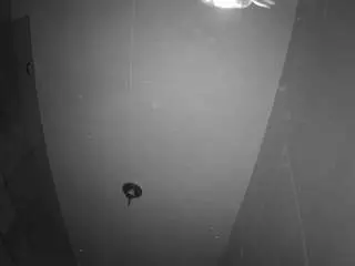 Camsoda Sex Cam of voyeurcam-casa-salsa-bathroom-11