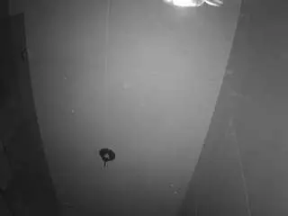 Camsoda Best live sex cam show of voyeurcam-casa-salsa-bathroom-11