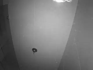 Camsoda Nude Webcam of voyeurcam-casa-salsa-bathroom-11