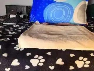 Camsoda Live Sex Cam of goldengoddess38