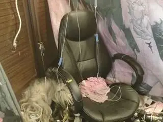 Camsoda Adult Webcam of ombelinehawkins