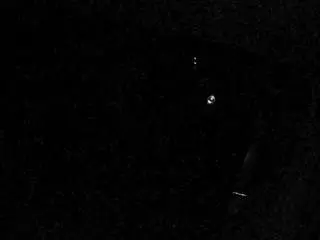 Camsoda Live Sex of voyeurcam-casa-salsa-bathroom-12