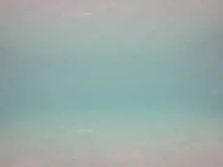 Camsoda Free Porn Cam of voyeurcam-casa-salsa-pool-1