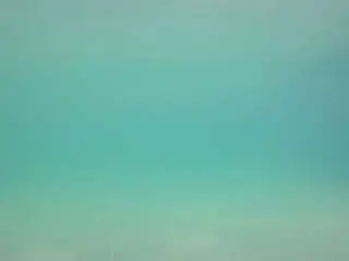 Camsoda Free Live Porn of voyeurcam-casa-salsa-pool-1