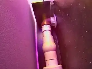 Camsoda Best Webcam of voyeurcam-casa-salsa-fishtank