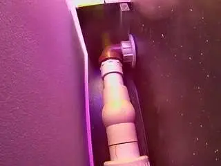 Camsoda Adult Webcam of voyeurcam-casa-salsa-fishtank