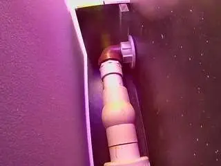Camsoda Live Porn of voyeurcam-casa-salsa-fishtank