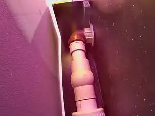 Camsoda Best Webcam of voyeurcam-casa-salsa-fishtank