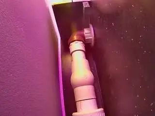 Camsoda Sex Cam of voyeurcam-casa-salsa-fishtank