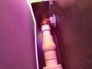 Camsoda Sex Chat of voyeurcam-casa-salsa-fishtank