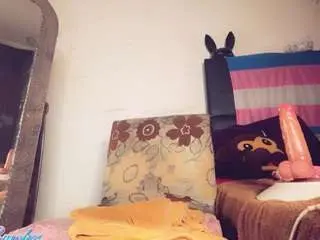 Camsoda Adult Webcam of veroalva