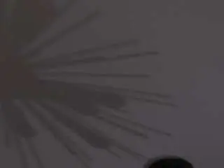 Camsoda Live Sex of vandagreer