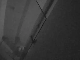 Camsoda Best Webcam of voyeurcam-casa-salsa-bathroom-7