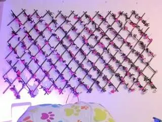 Camsoda Adult Webcam of naughtyebonyy