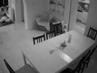 Camsoda Free Live Porn of voyeurcam-julmodels-dining