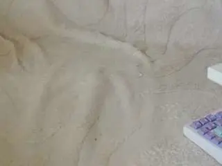 Camsoda Watch Live Sex Cams of limalexxx