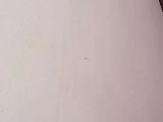 Camsoda Adult Webcams of kissme-luna