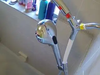 Camsoda Watch Live Sex Cams of voyeurcam-charleys-bathroom