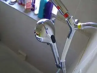 Camsoda Best Webcam of voyeurcam-charleys-bathroom