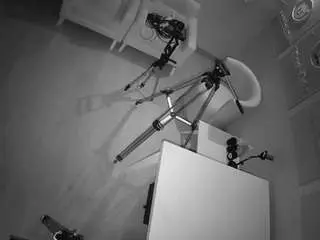 Camsoda Watch Live Sex Cams of voyeurcam-jb-xfollow
