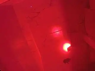 Camsoda Adult Webcam of voyeurcam-casa-salsa-bathroom-10